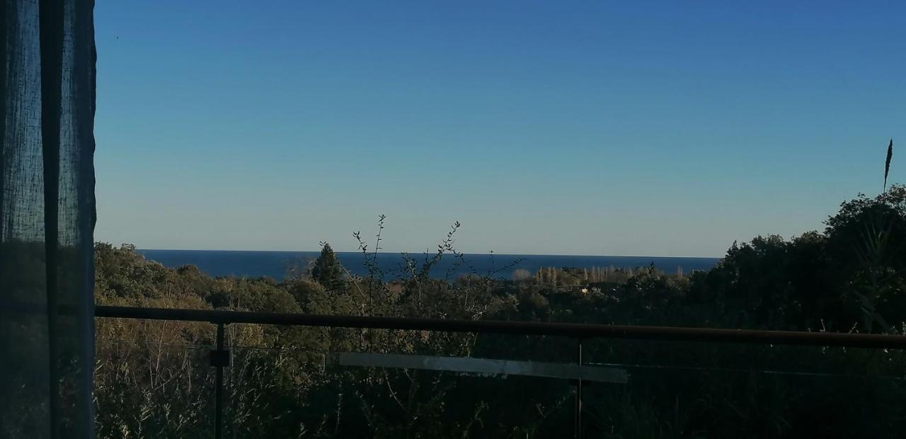 Villa Angelini Valle-di-Campoloro Buitenkant foto