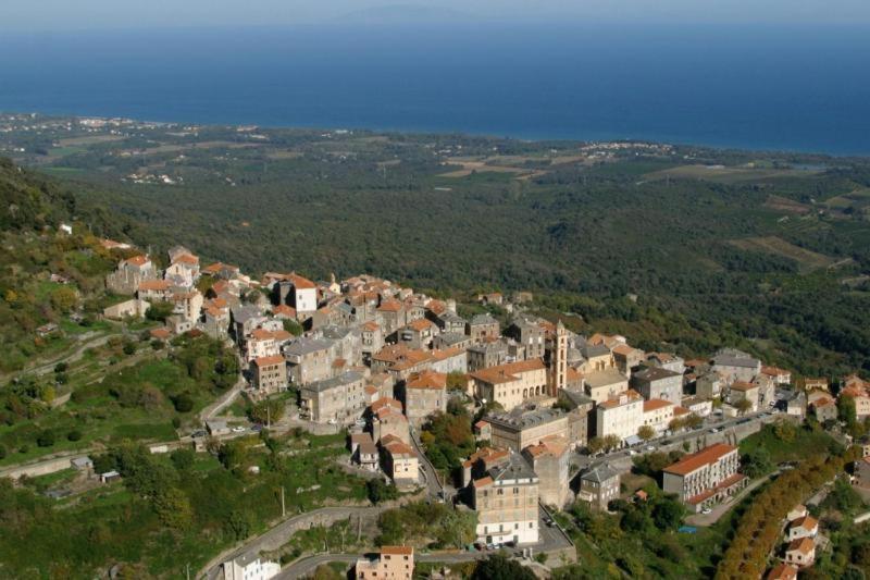 Villa Angelini Valle-di-Campoloro Buitenkant foto