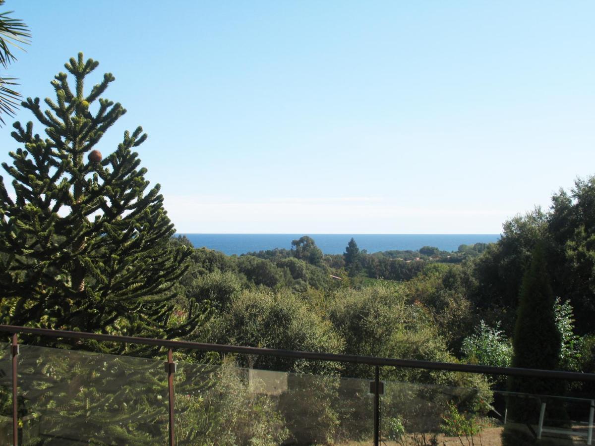 Villa Angelini Valle-di-Campoloro Buitenkant foto